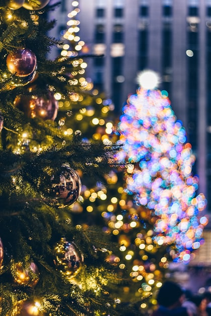 How to Choose the Right Christmas Light Service