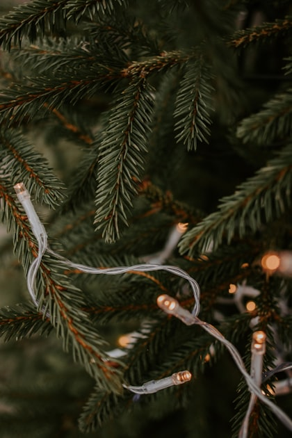 Residential vs. Commercial Christmas Light Installation