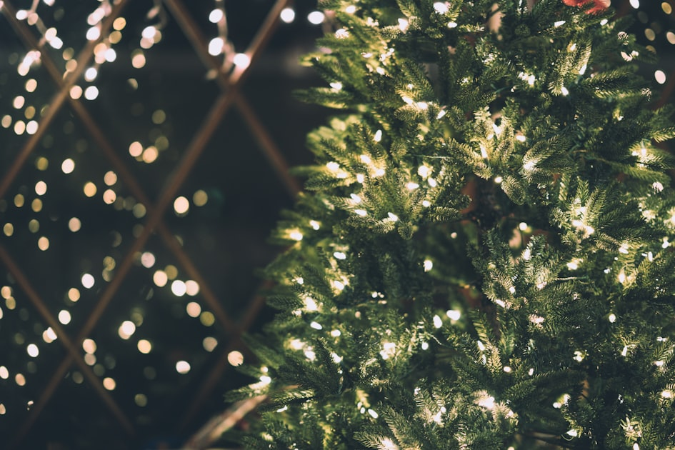 Frequently Asked Questions About Christmas Light Installation