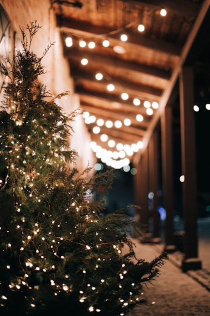 Top Benefits of Professional Christmas Light Installation